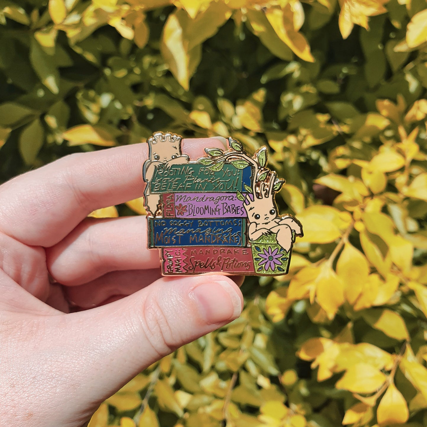 December 2021 Shelfie Pin | Jewel Mandrakes