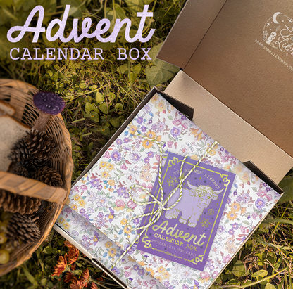LAST CHANCE 2025 Bookish Advent Calendar Box | 12 or 24 Days
